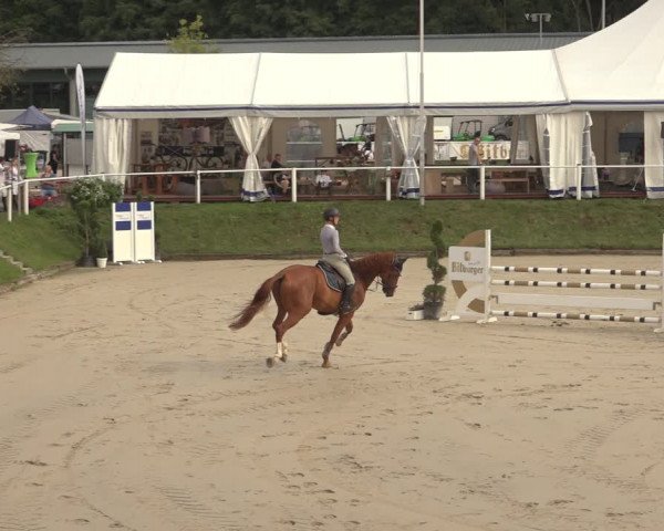 Reitturnier Bergisch Gladbach - Hebborner Hof 2023