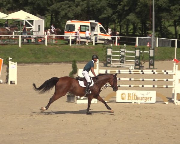 Reitturnier Bergisch Gladbach - Hebborner Hof 2023