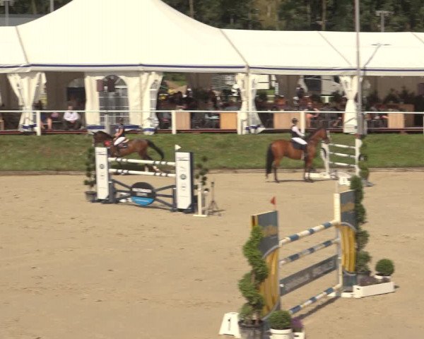 Reitturnier Bergisch Gladbach - Hebborner Hof 2023