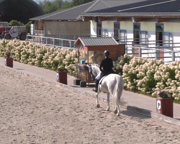 Reitturnier Gerasdorf bei Wien 2023
