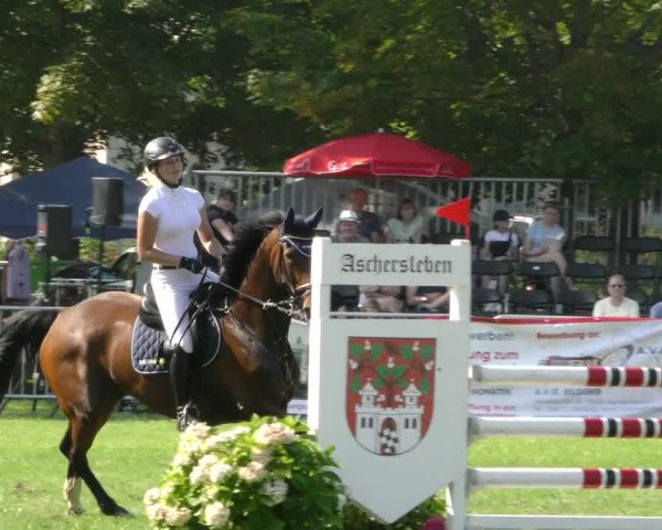 Reitturnier Aschersleben 2023