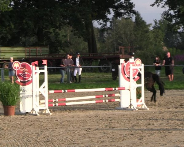 Reitturnier Datteln 2023