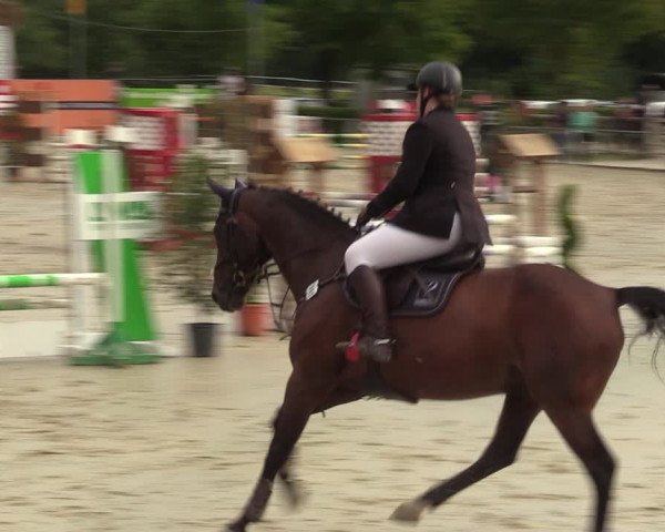 Reitturnier Münster-Albachten 2023