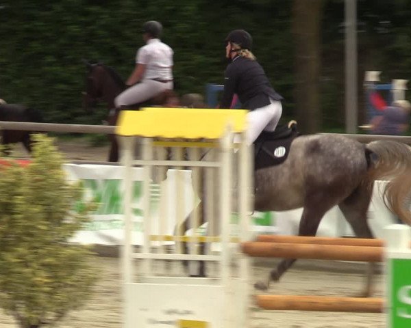 Reitturnier Münster-Albachten 2023