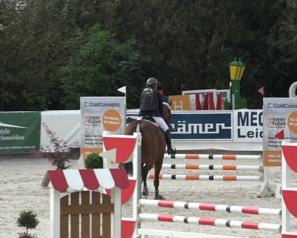 Reitturnier Leichlingen-Witzhelden 2021
