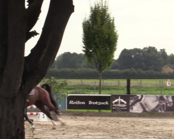Reitturnier Dortmund-Asseln 2023