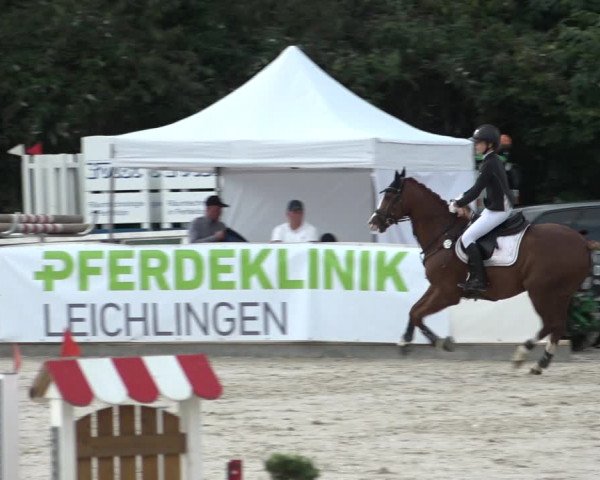 Reitturnier Leichlingen-Witzhelden 2021