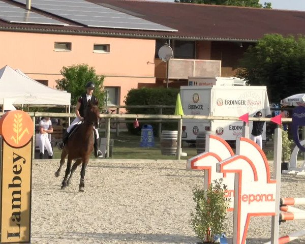 Reitturnier Dompierre 2023