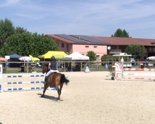 Reitturnier Dompierre 2023