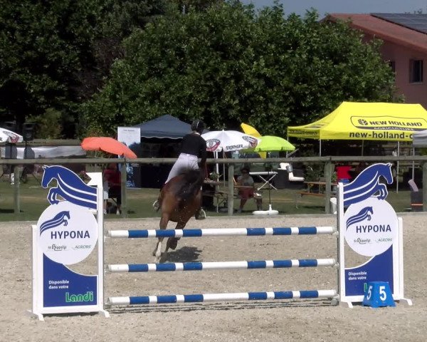 Reitturnier Dompierre 2023