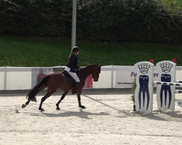 Reitturnier Leichlingen-Witzhelden 2021