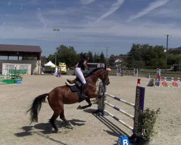 Reitturnier Dompierre 2023