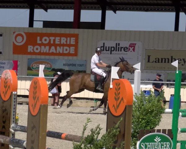 Reitturnier Dompierre 2023
