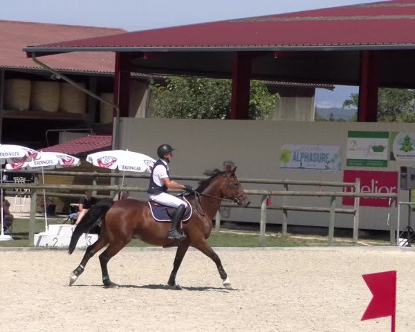 Reitturnier Dompierre 2023