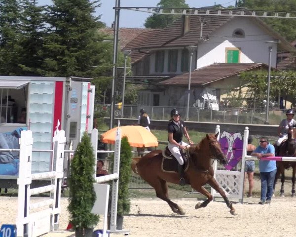 Reitturnier Dompierre 2023
