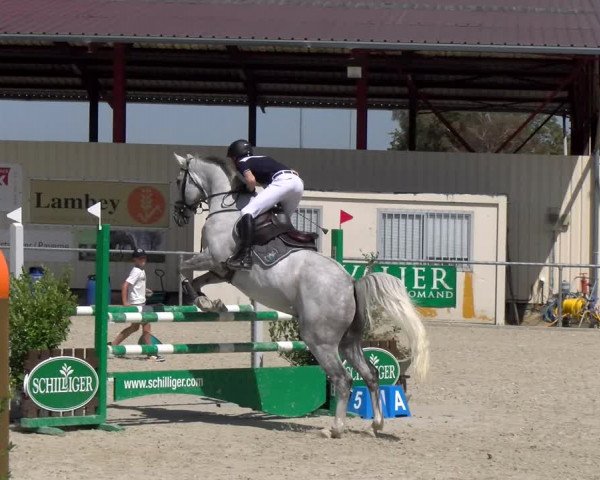 Reitturnier Dompierre 2023