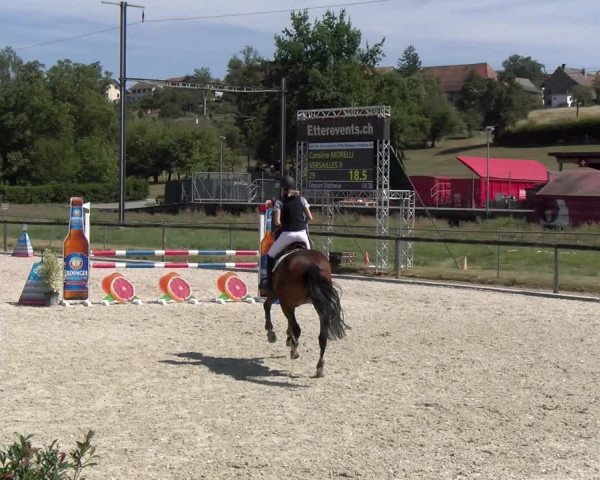 Reitturnier Dompierre 2023