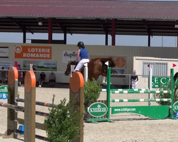 Reitturnier Dompierre 2023
