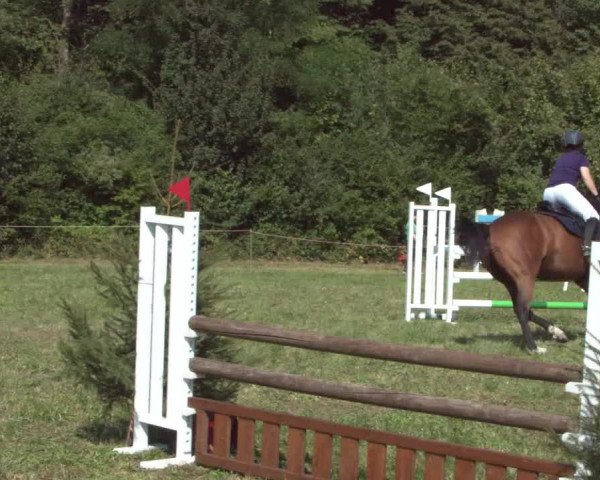 Concours Olsberg 2021