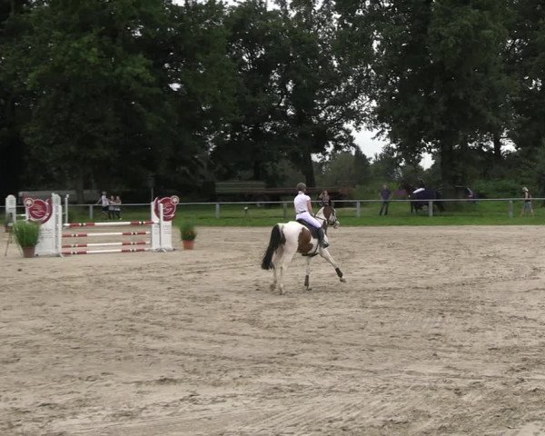 Reitturnier Datteln 2023