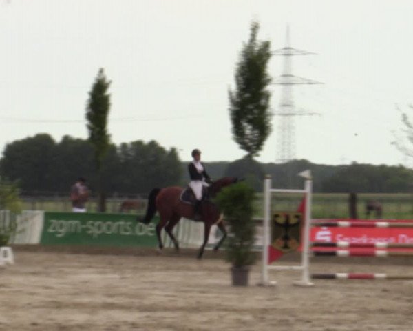Reitturnier Dortmund-Asseln 2023