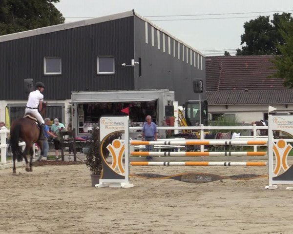 Reitturnier Dortmund-Asseln 2023