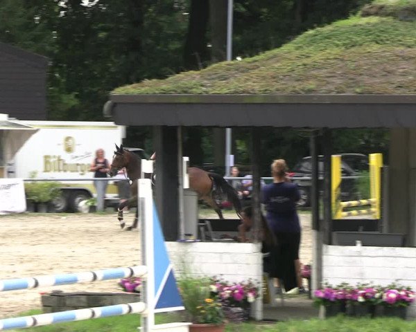 Reitturnier Datteln 2023