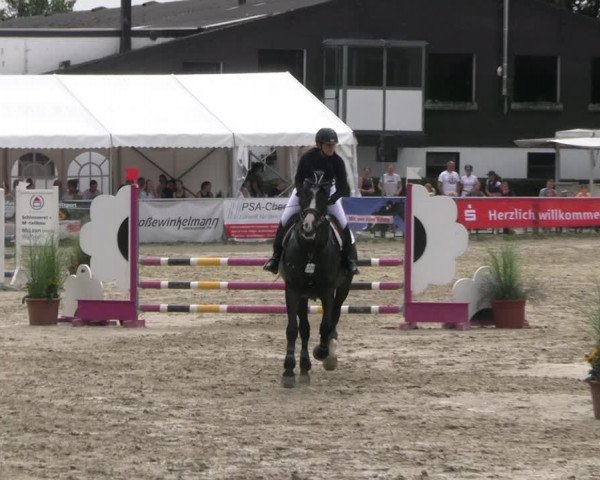 Reitturnier Datteln 2023
