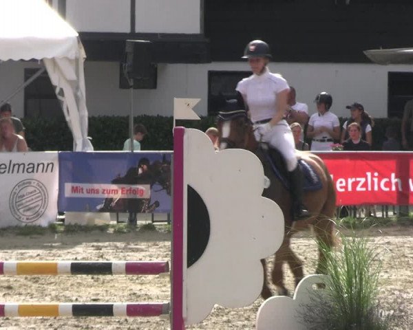 Reitturnier Datteln 2023