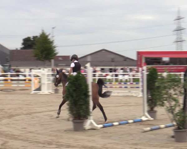 Reitturnier Dortmund-Asseln 2023