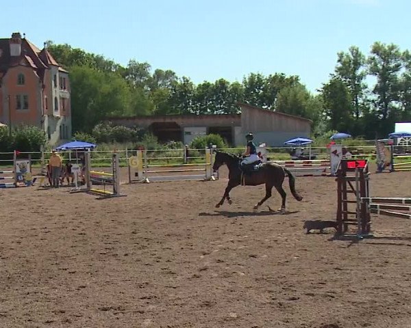 Reitturnier Demantsfürth/Mfr. 2023