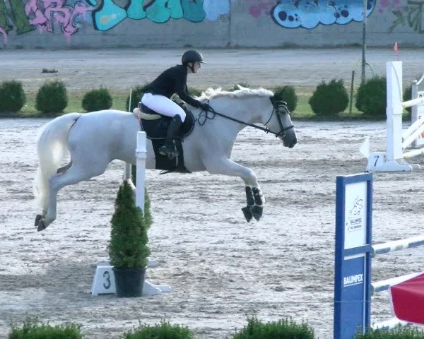 Reitturnier Basel Schänzli 2021