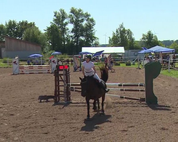 Reitturnier Demantsfürth/Mfr. 2023