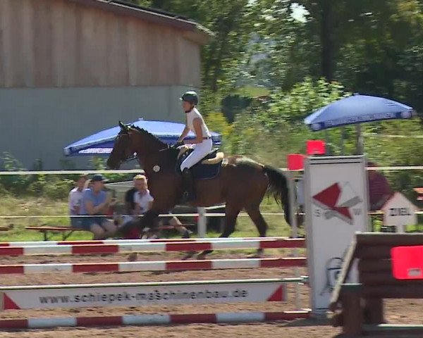Reitturnier Demantsfürth/Mfr. 2023