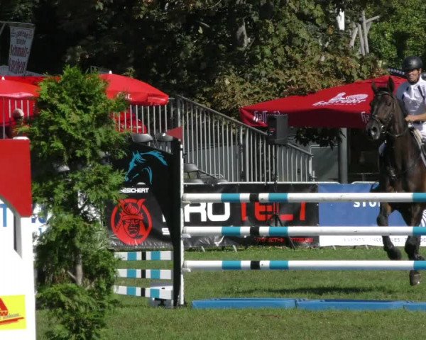 Reitturnier Aschersleben 2023