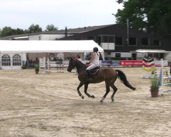 Reitturnier Datteln 2023
