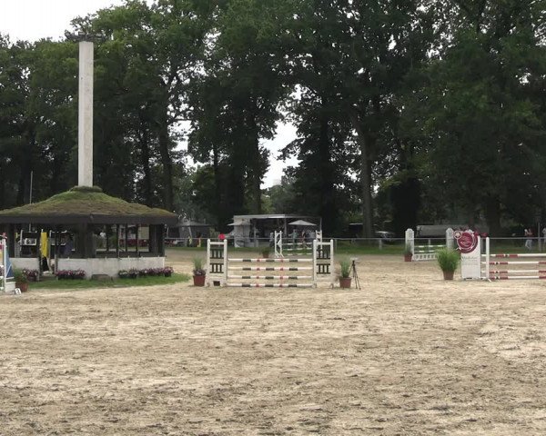 Reitturnier Datteln 2023