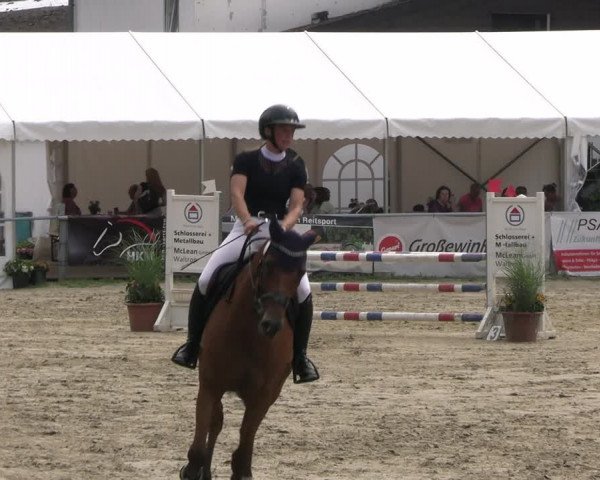 Reitturnier Datteln 2023