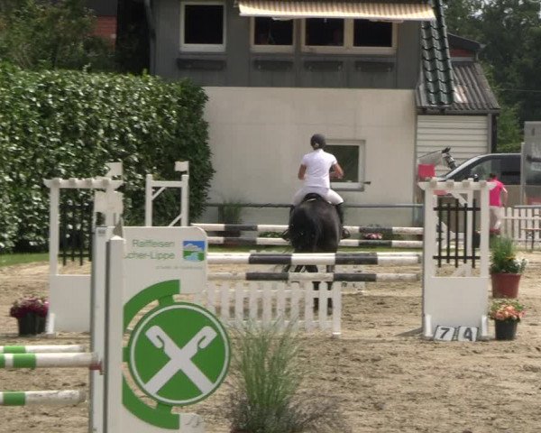 Reitturnier Datteln 2023