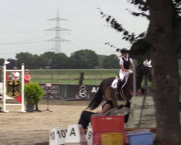 Reitturnier Dortmund-Asseln 2023