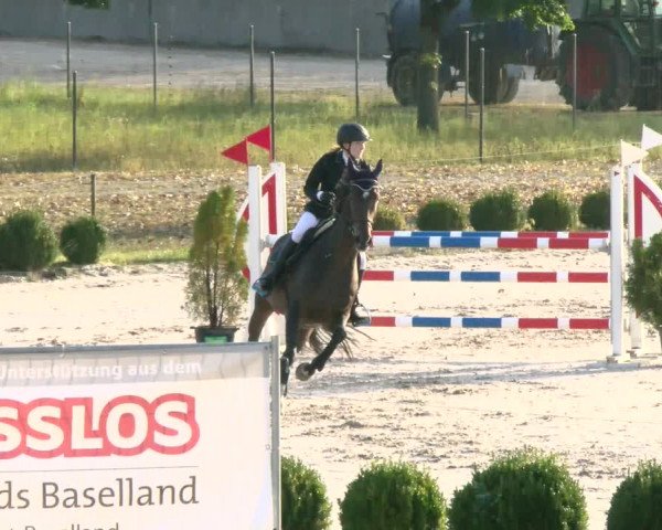 Reitturnier Basel Schänzli 2021
