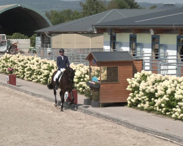 Reitturnier Gerasdorf bei Wien 2023