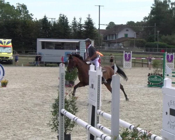 Reitturnier Dompierre 2023
