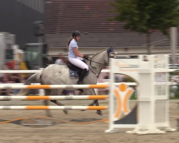 Reitturnier Dortmund-Asseln 2023