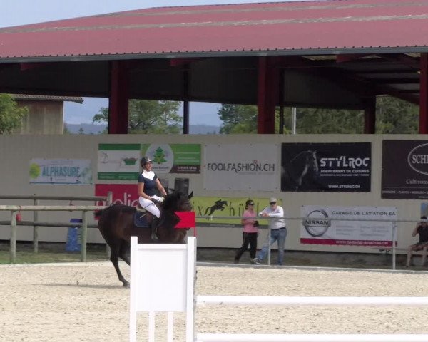 Reitturnier Dompierre 2023
