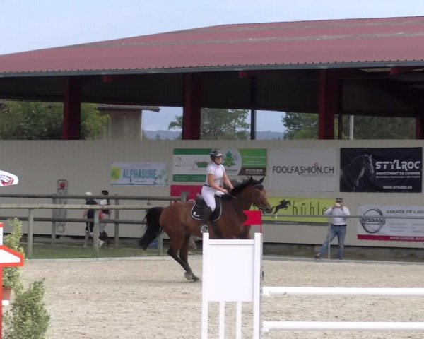 Reitturnier Dompierre 2023