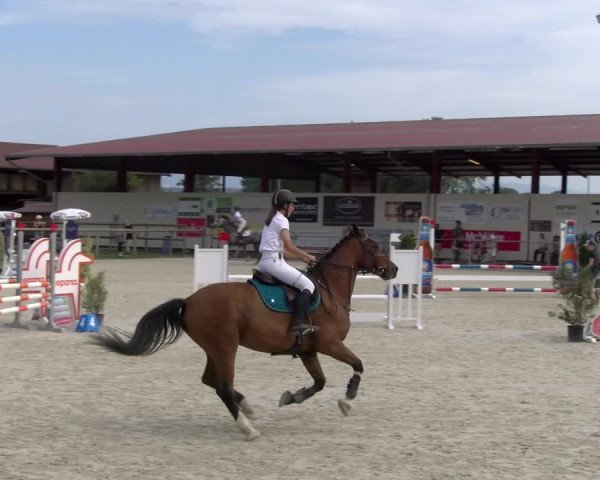 Reitturnier Dompierre 2023