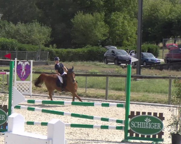 Reitturnier Dompierre 2023