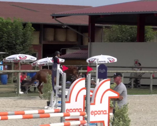 Reitturnier Dompierre 2023
