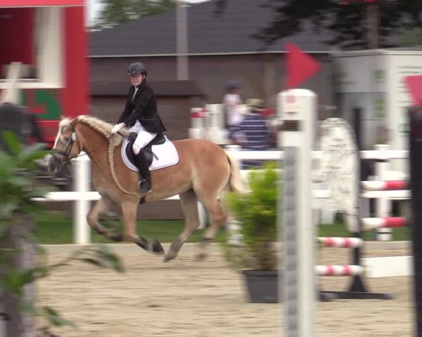 Reitturnier Dortmund-Asseln 2023